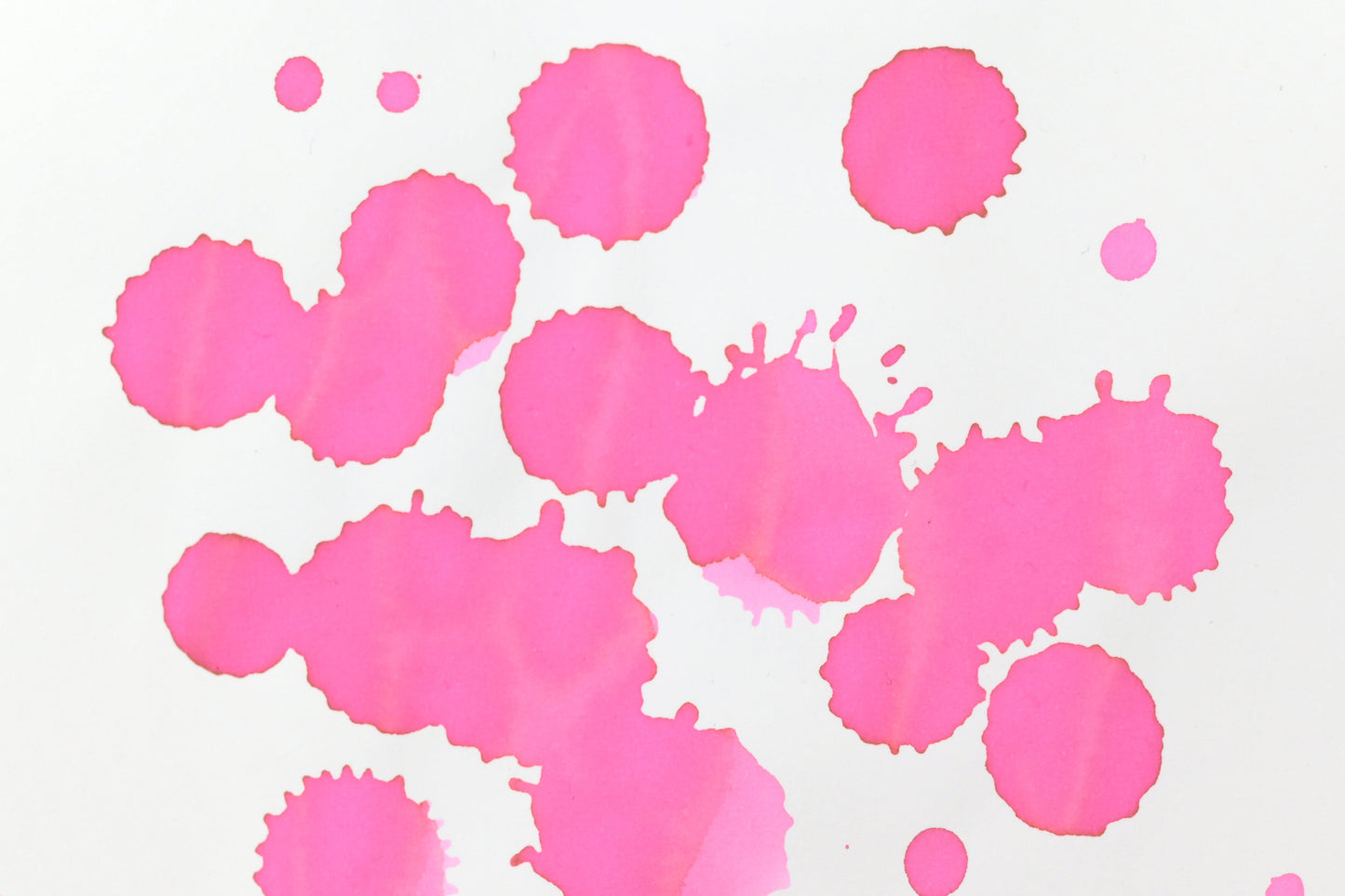 Esterbrook x BUNGUBOX Ink - Kachofugetsu - Flower - 30mL Bottle - Limited Edition
