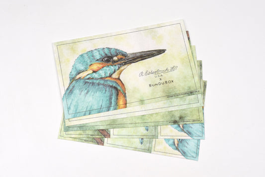 Esterbrook x BUNGUBOX Blotter Paper - Kachofugetsu Collection - Kingfisher - Limited Edition