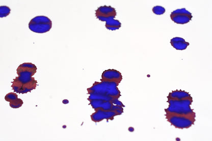 Diamine Fountain Pen Ink - 150th Anniversary Series - Blue Velvet