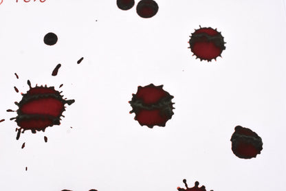 Diamine Fountain Pen Ink - Monaco Red - 30mL
