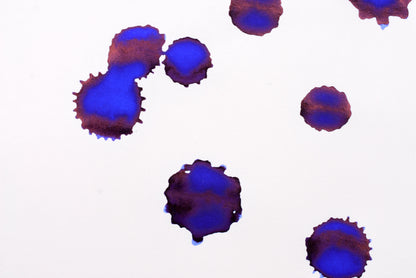 Diamine Fountain Pen Ink - China Blue - 30mL