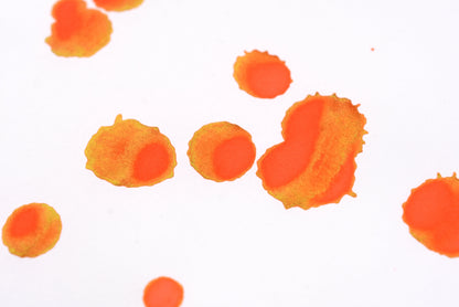 Diamine Fountain Pen Ink - Coral - 30mL