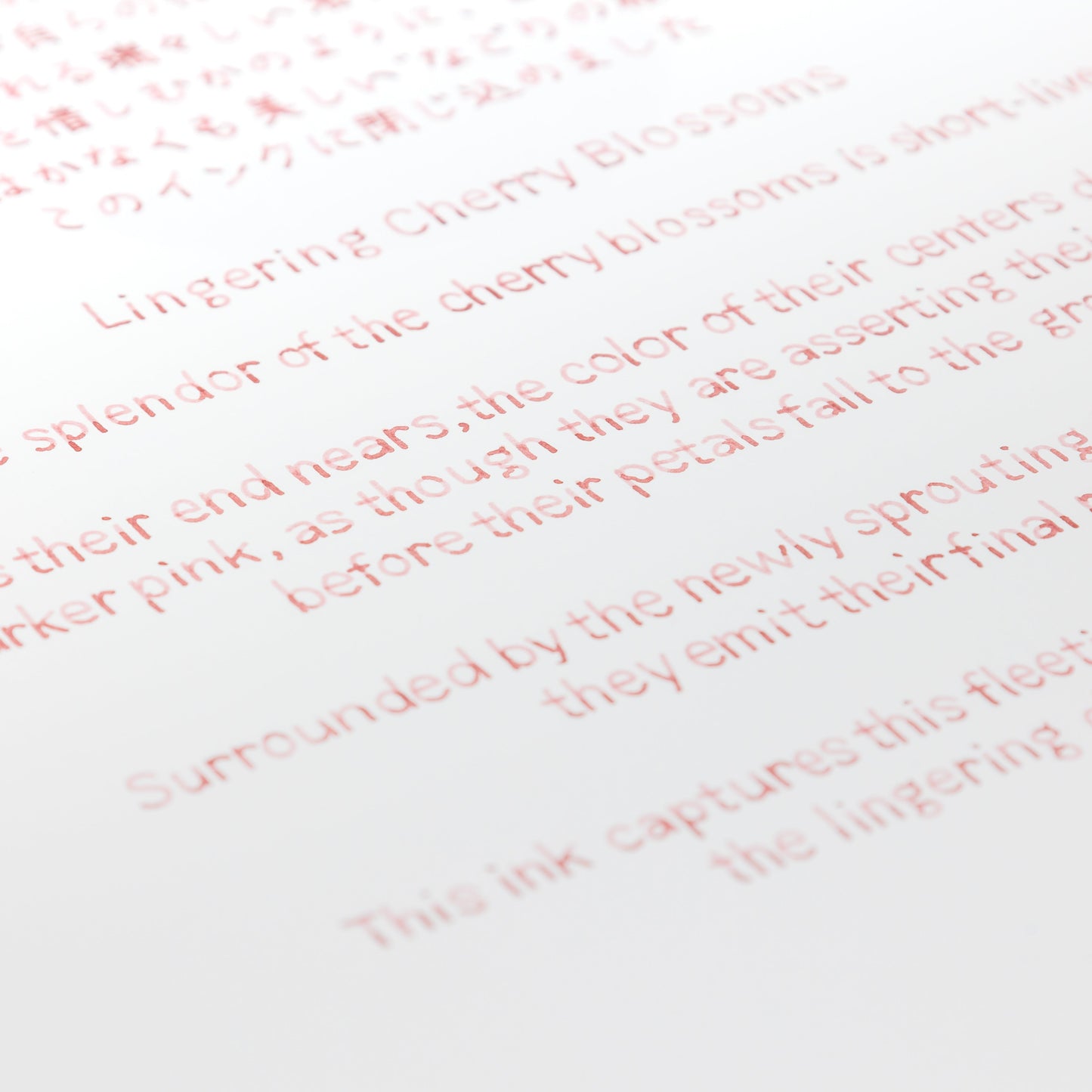 BUNGUBOX Original Ink - Ink tells more - Lingering Cherry Blossoms