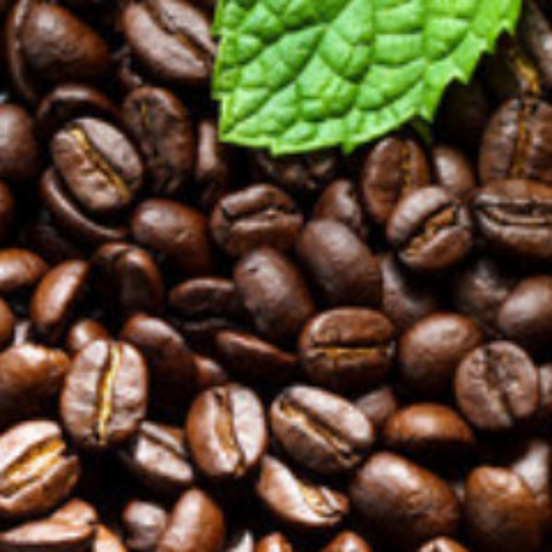 Angel Whispers Coffee - 1 lb (16 oz)